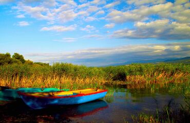 Maşukiye-Ormanya Turu