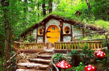 Maşukiye-Ormanya Turu