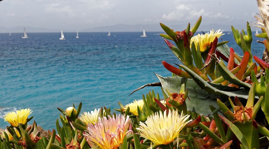 Aynı Gün Dönüşlü Rodos Turu
