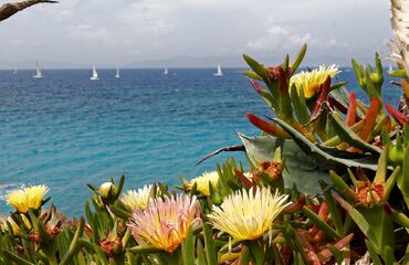 Aynı Gün Dönüşlü Rodos Turu