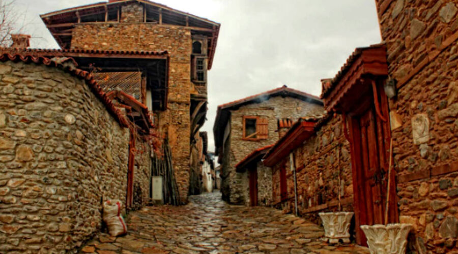 Ödemiş-Birgi-Gölcük Turu