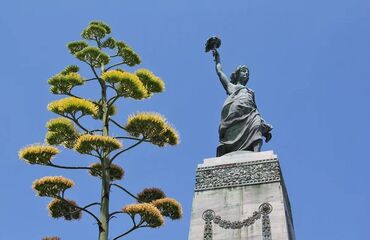 Midilli Turu ( Ayvalık Hareket ) 