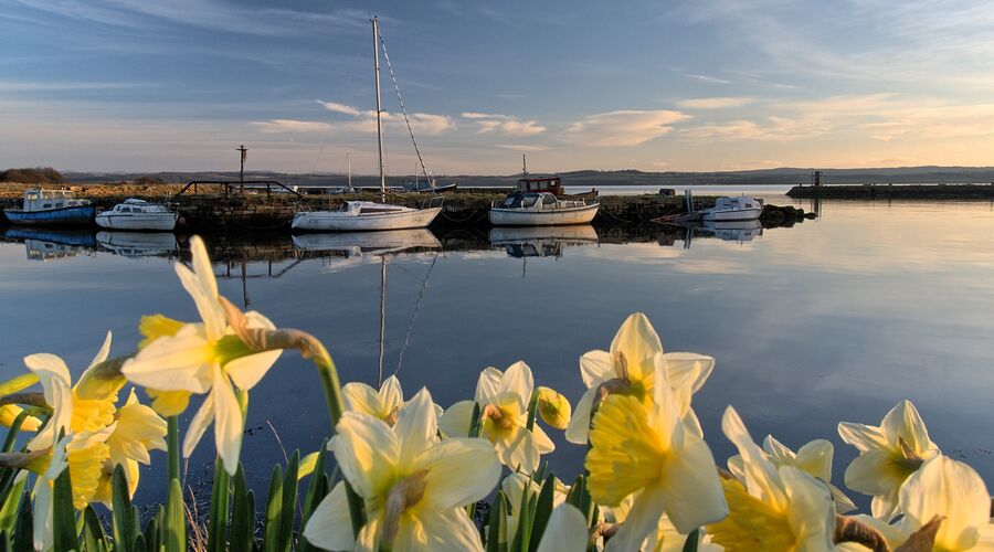 Nergis Zamanı Karaburun Turu