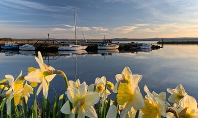 Nergis Zamanı Karaburun Turu