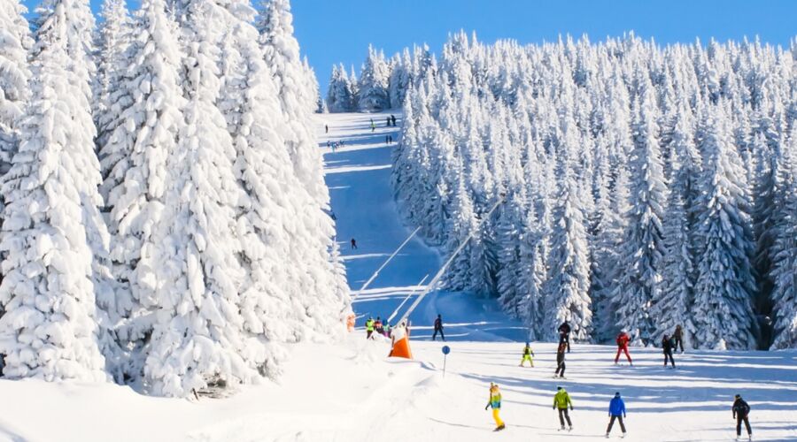 Günübirlik Uludağ Turu