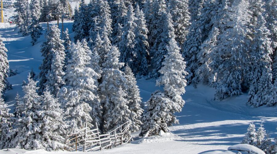 Günübirlik Uludağ Turu
