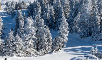 Günübirlik Uludağ Turu