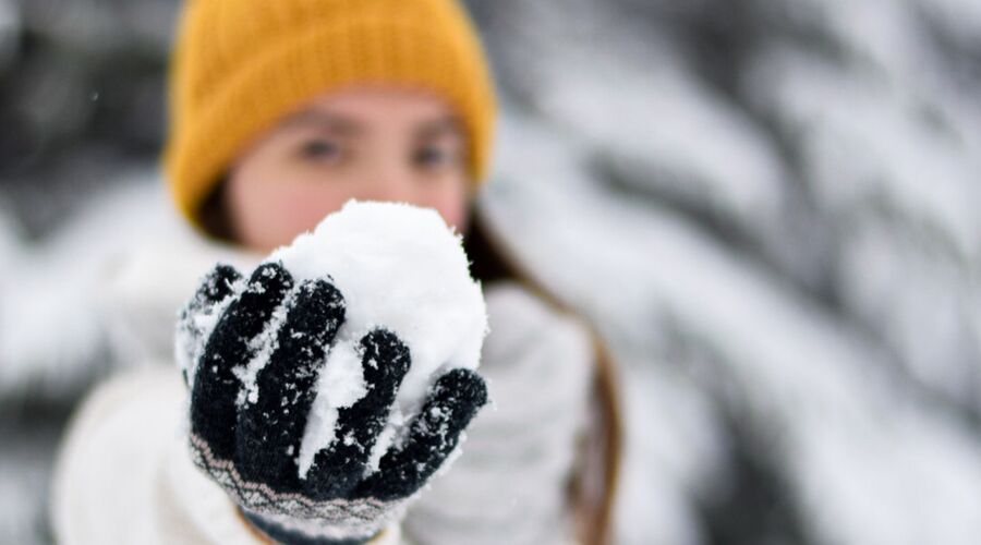 Günübirlik Uludağ Turu