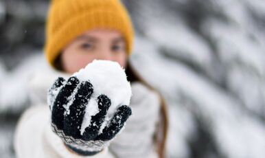 Günübirlik Uludağ Turu