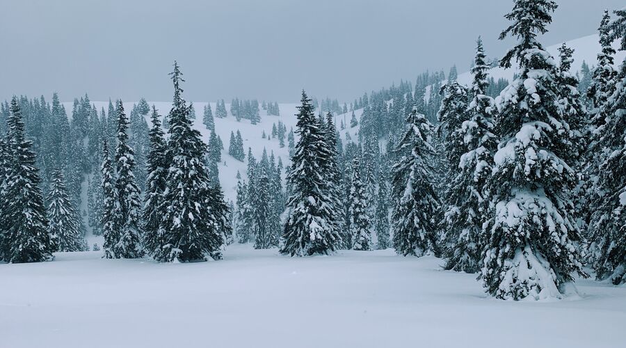 Günübirlik Uludağ Turu