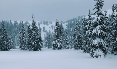 Günübirlik Uludağ Turu