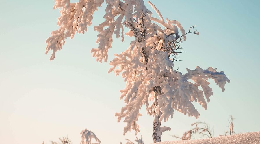 Günübirlik Uludağ Turu