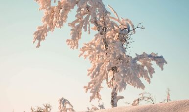 Günübirlik Uludağ Turu