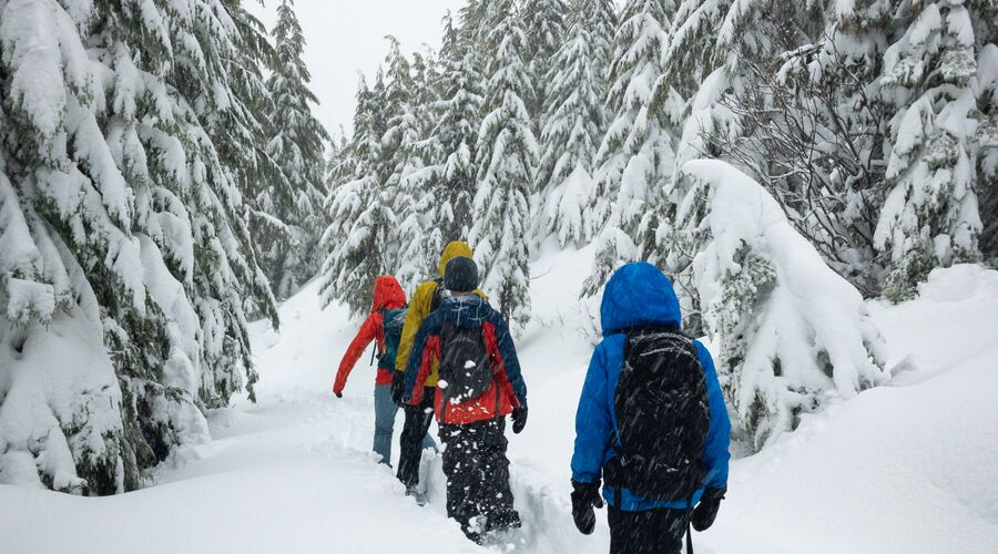 Günübirlik Uludağ Turu