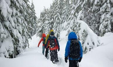 Günübirlik Uludağ Turu