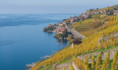 İzmir’den Alpler’de 5 Ülke Rotası 