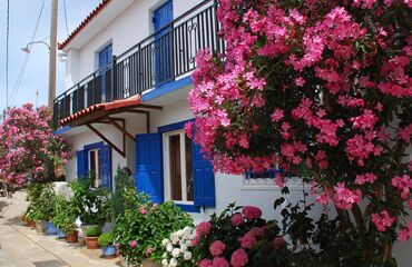 Günübirlik Samos Turu